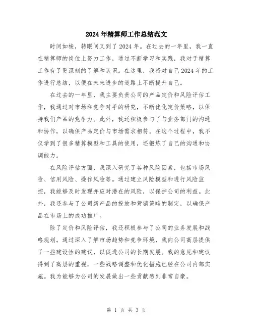 2024年精算师工作总结范文