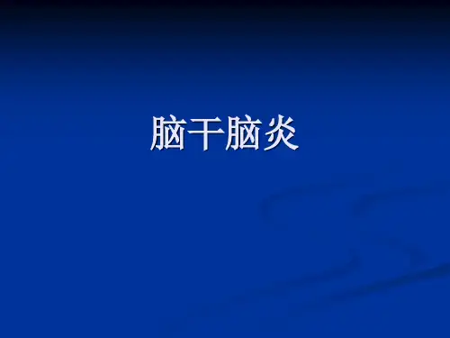 脑干脑炎