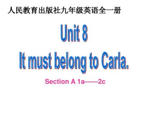 九年级全一册初中英语《Section A 1a―1c》公开课PPT课件