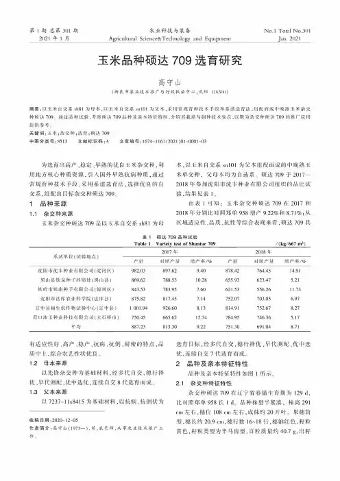 玉米品种硕达709选育研究
