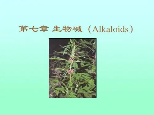 天然药物化学5 PPT课件