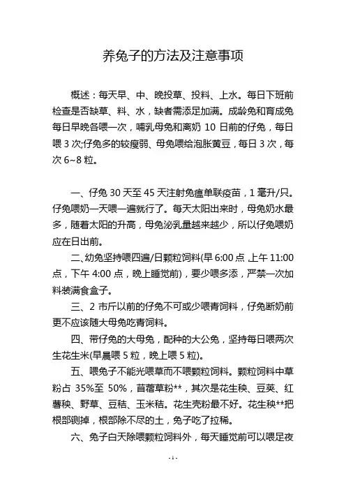 养兔子的方法及注意事项