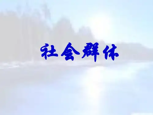社会学4(社会群体)