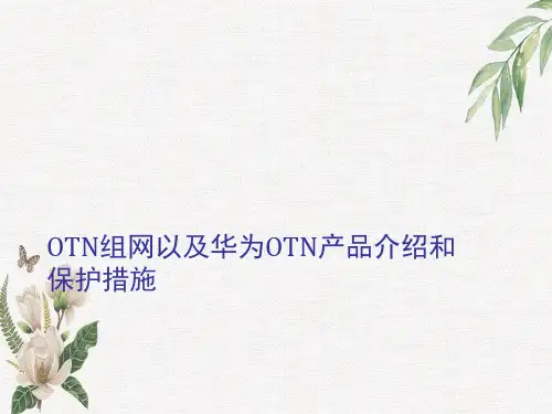 OTN组网以及华为OTN产品介绍和保护措施