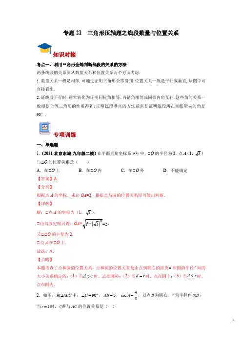 专题21 三角形压轴题之线段数量与位置关系(解析版)