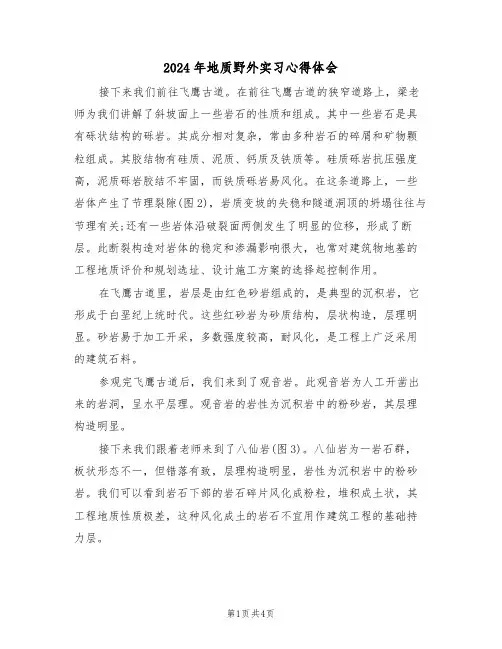 2024年地质野外实习心得体会(2篇)