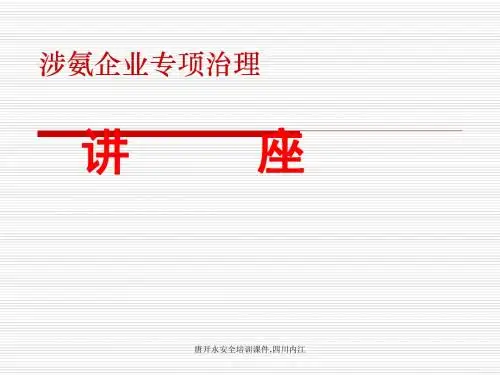 涉氨企业专项治理讲座. -通用版