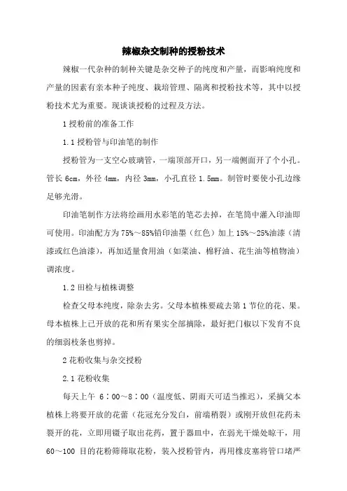 辣椒杂交制种的授粉技术