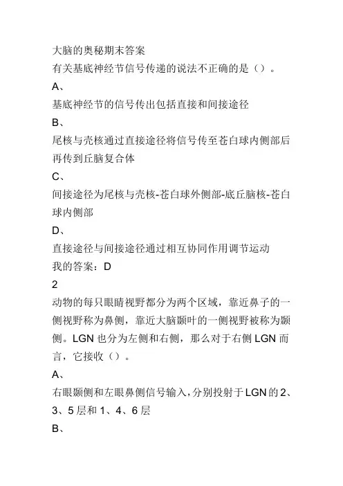 大脑的奥秘