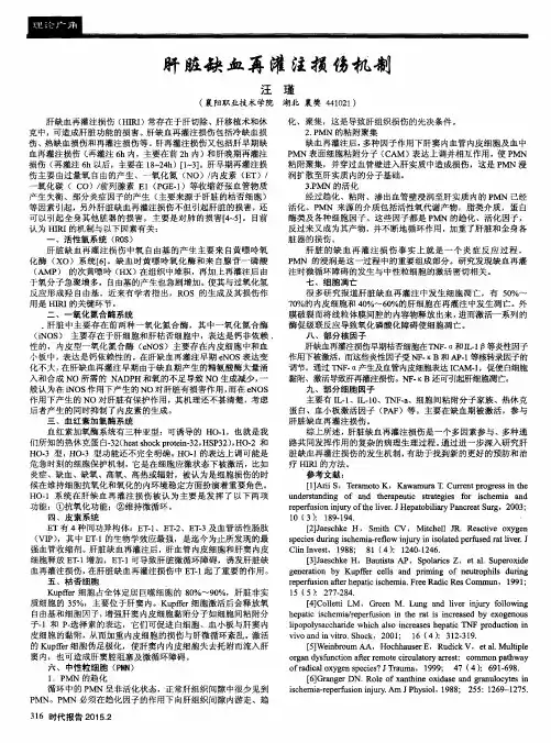 肝脏缺血再灌注损伤机制