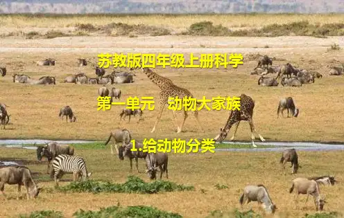 苏教版四年级上册科学第一单元《动物大家族》课件