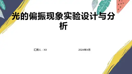 光的偏振现象实验设计与分析