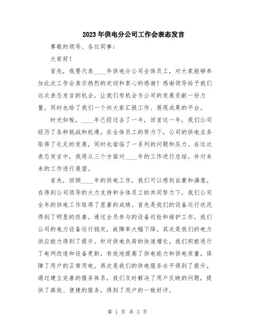 2023年供电分公司工作会表态发言
