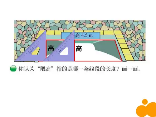 五年级上册数学课件4.2认识底和高︳北师大版2