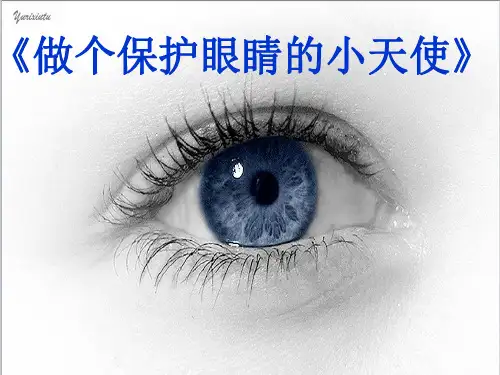 小学综合实践活动案例-让眼睛更明亮