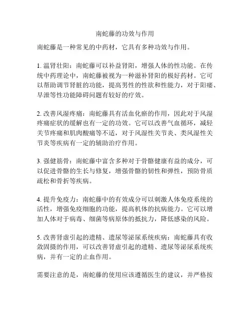 南蛇藤的功效与作用