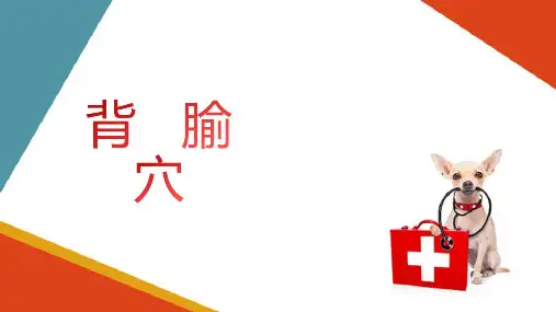 宠物特定穴介绍 背腧穴