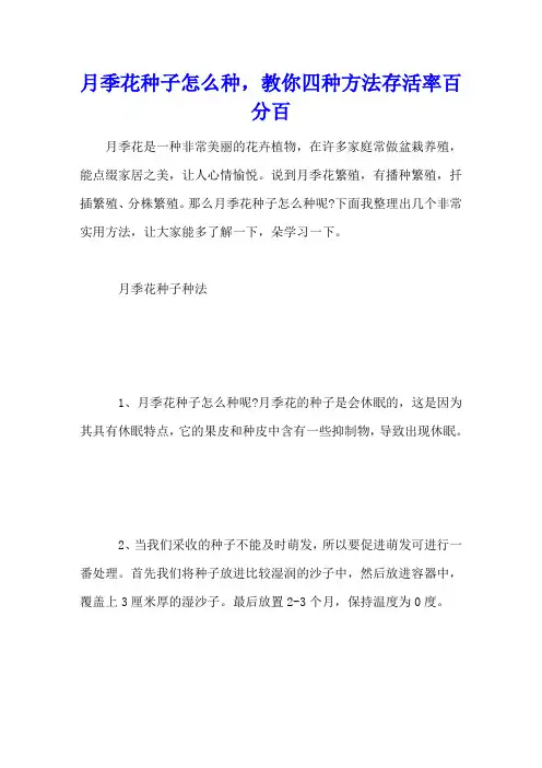 月季花种子怎么种,教你四种方法存活率百分百