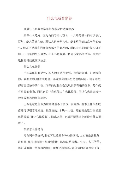 什么龟适合家养