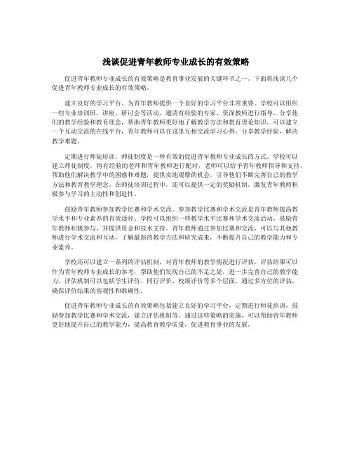 浅谈促进青年教师专业成长的有效策略