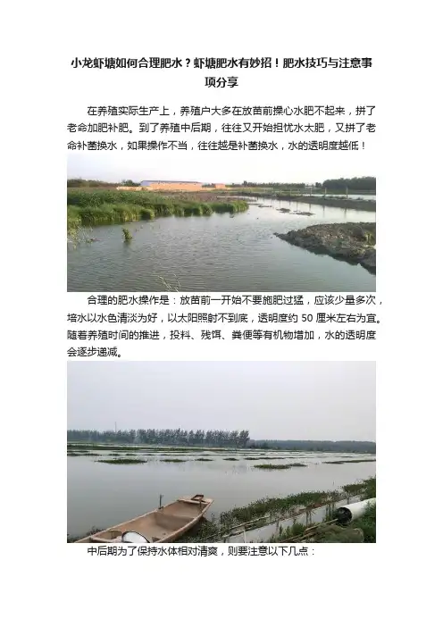 小龙虾塘如何合理肥水？虾塘肥水有妙招！肥水技巧与注意事项分享