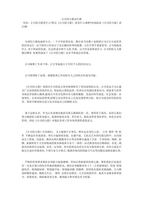 公司的力量读后感