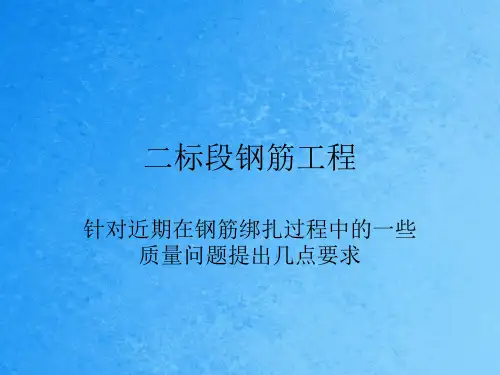 《钢筋技术交底内容》ppt课件