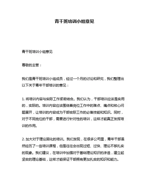 青干班培训小组意见
