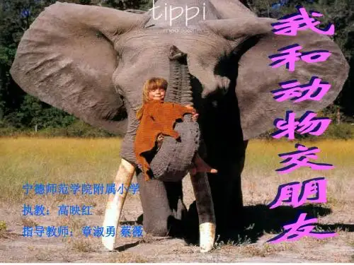我和动物交朋友(课件)(省一等奖)