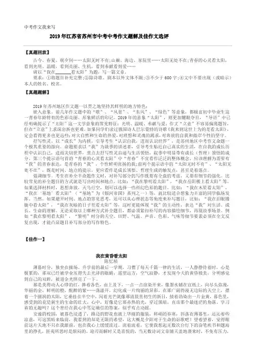 九年级上-中考作文我来写_2019年江苏省苏州市中考中考作文题解及佳作文选评