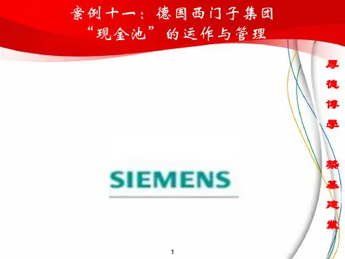 案例：西门子现金池管理