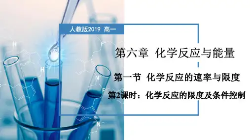 6.2.2  化学反应的限度及条件控制(课件)高一化学(人教版2019必修第二册)