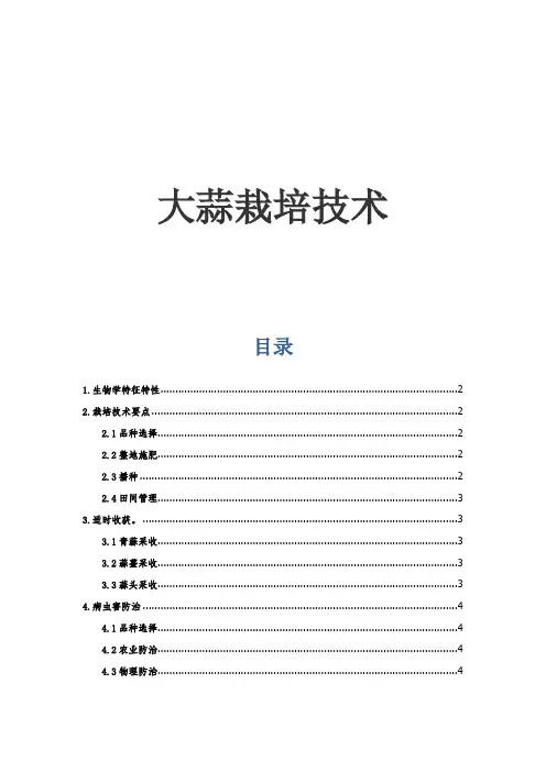 大蒜栽培技术