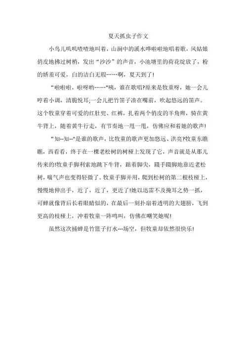 夏天抓虫子作文