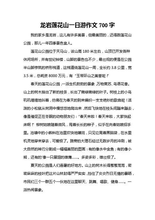 龙岩莲花山一日游作文700字