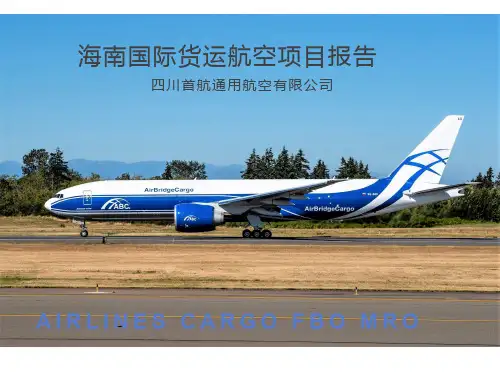 海南国际货运航空项目报告