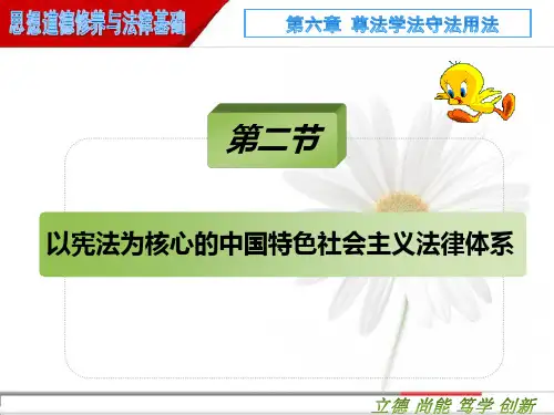 2019 思修 第六章 第二节 以宪法为核心的中国特色社会主义法律体系