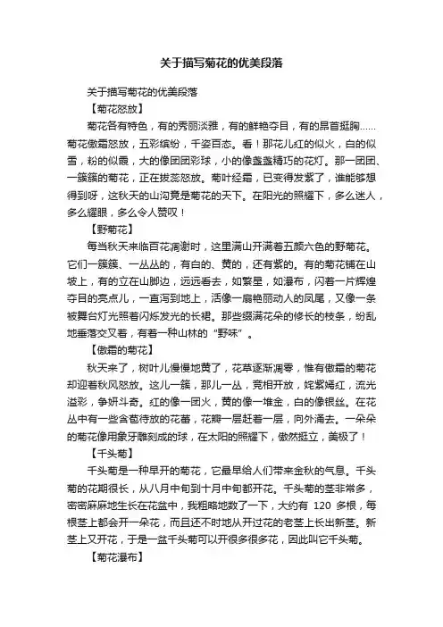 关于描写菊花的优美段落
