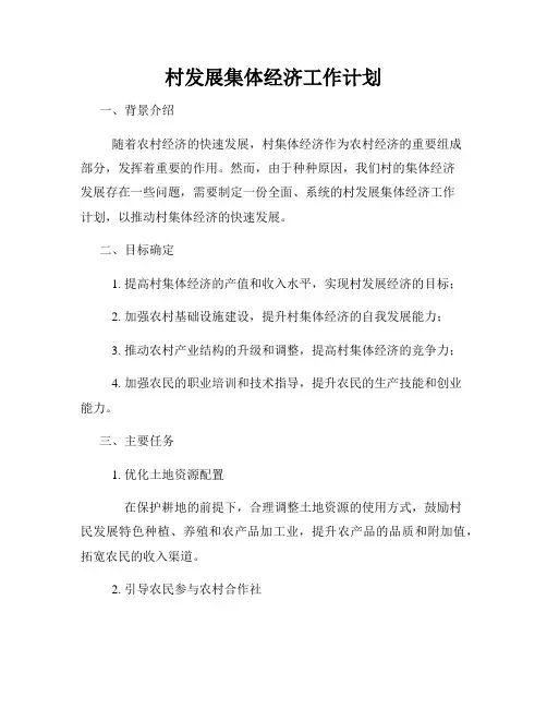 村发展集体经济工作计划