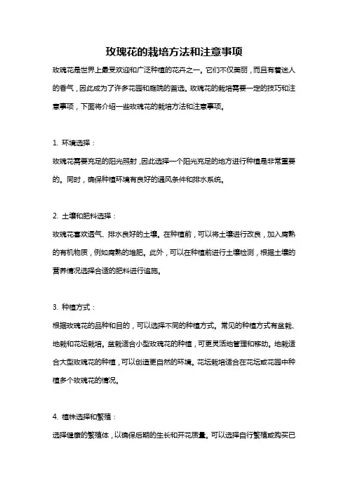 玫瑰花的栽培方法和注意事项