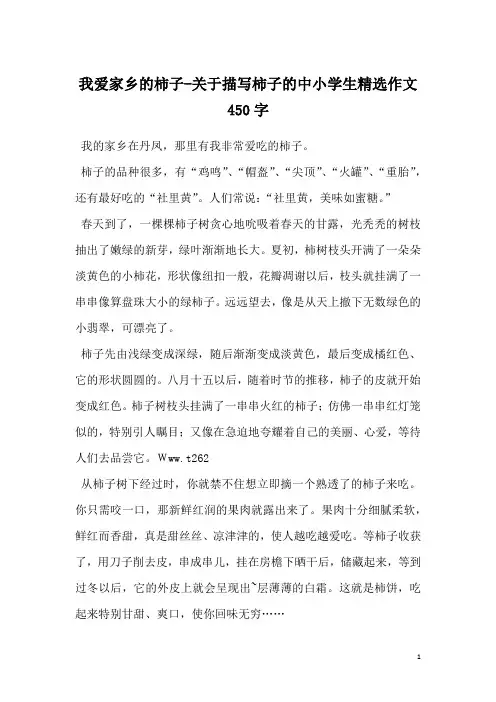 我爱家乡的柿子-关于描写柿子的中小学生精选作文450字