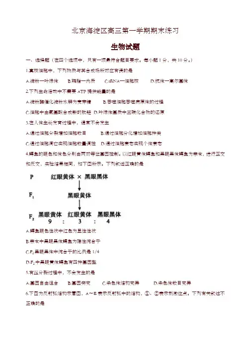 2019-2020年北京市海淀区高三第一学期期末练习生物试卷(有答案)-优选