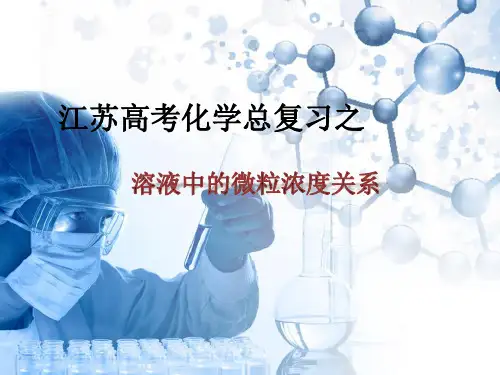 高考化学总复习之溶液中的微粒浓度关系(共21页PPT)(共21张PPT)