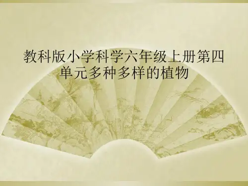 教科版小学科学六年级上册第四单元多种多样的植物