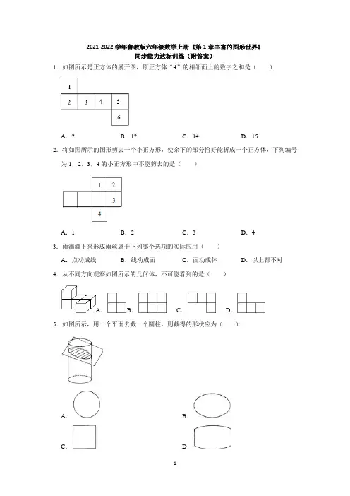 《第1章丰富的图形世界》同步能力达标训练鲁教版(五四制)六年级数学上册
