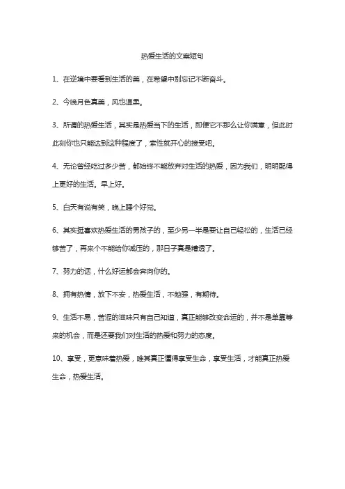 热爱生活的文案短句