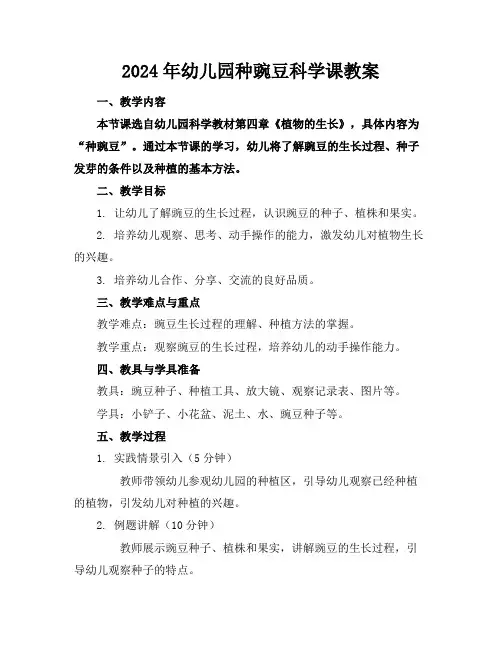 2024年幼儿园种豌豆科学课教案