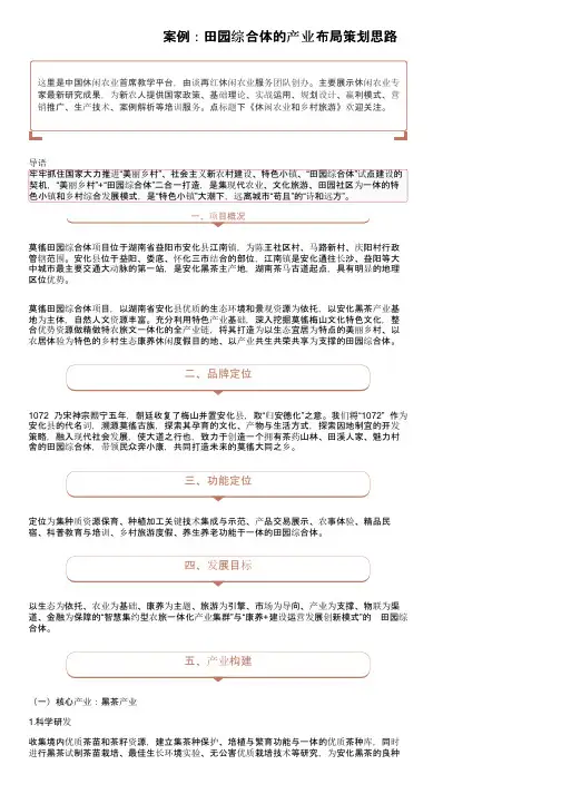 案例：田园综合体的产业布局策划思路