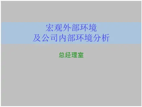 宏观外部环境及环境分析
