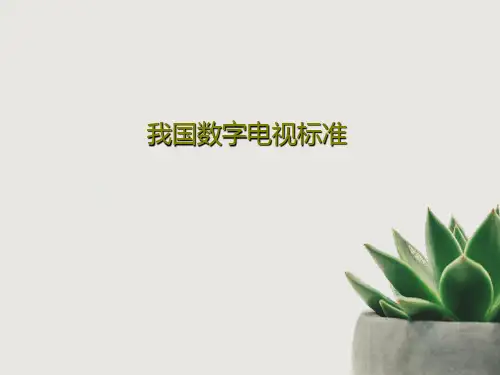 我国数字电视标准PPT文档43页